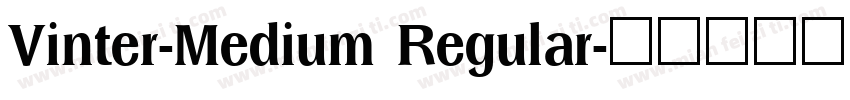 Vinter-Medium Regular字体转换